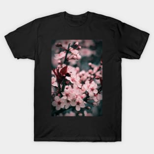 Sakura - Japanese Cherry Tree Blossoms T-Shirt